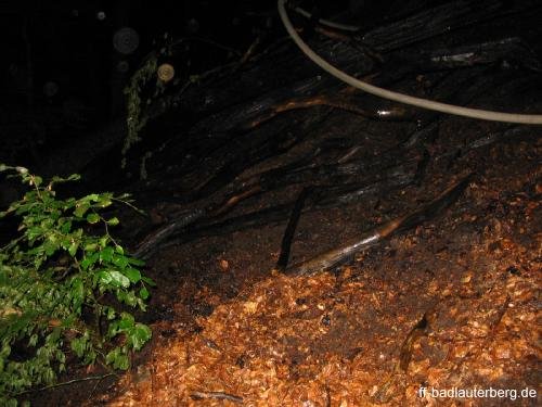 2011_06_02 Waldbrand Kummel Richtung Bismarkturm 19